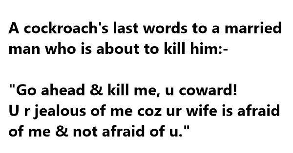 Naughty Wife Quotes Awesome Funny Cockroach Jokessayingsone Linersquotes & Hilarious Images Naughty Wife Quotes Amusing Funny Cockroach Jokessayingsone Linersquotes & Hilarious Images
