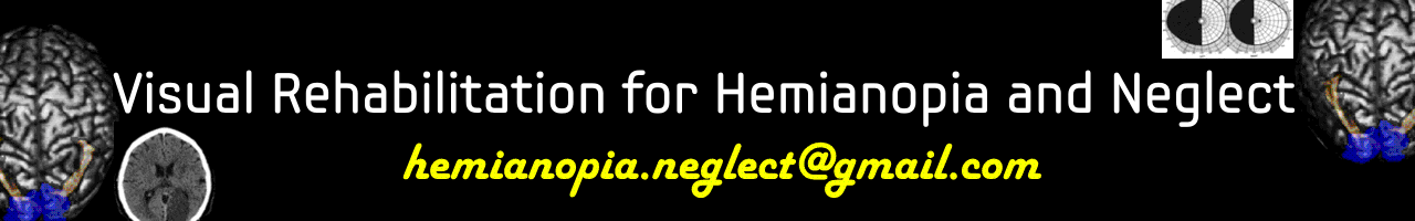 Visual Rehabilitation for Hemianopia and Neglect