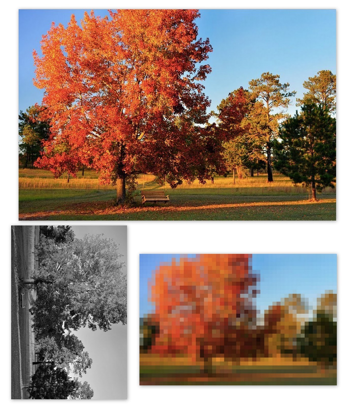 Catherine Mix Watercolor and Pastel Artist Intermediate pastel over