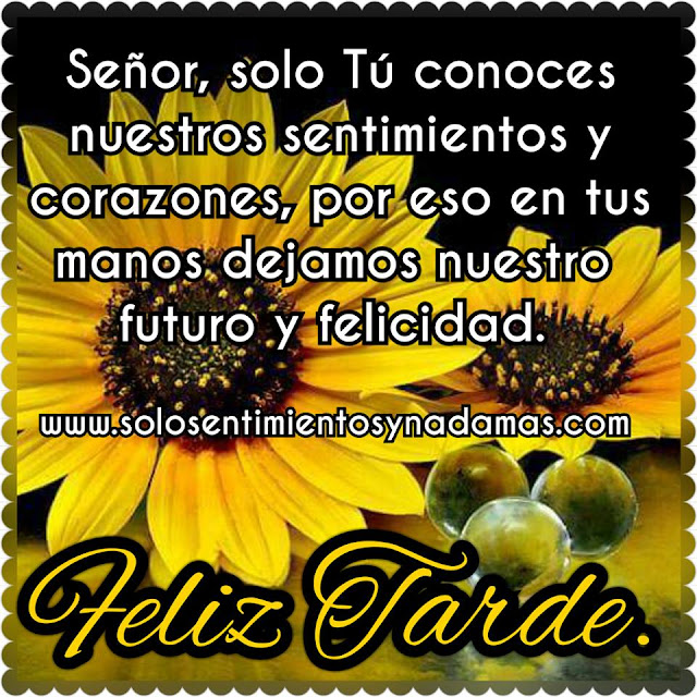 Feliz tarde.