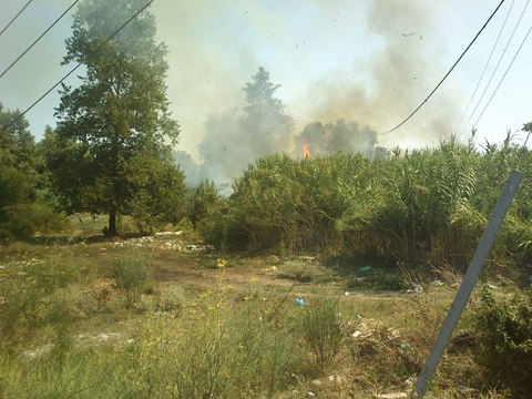 Βέροια: Μικρή φωτιά, αλλά άμεση κινητοποίηση για πυρκαγιά σε καλαμιές