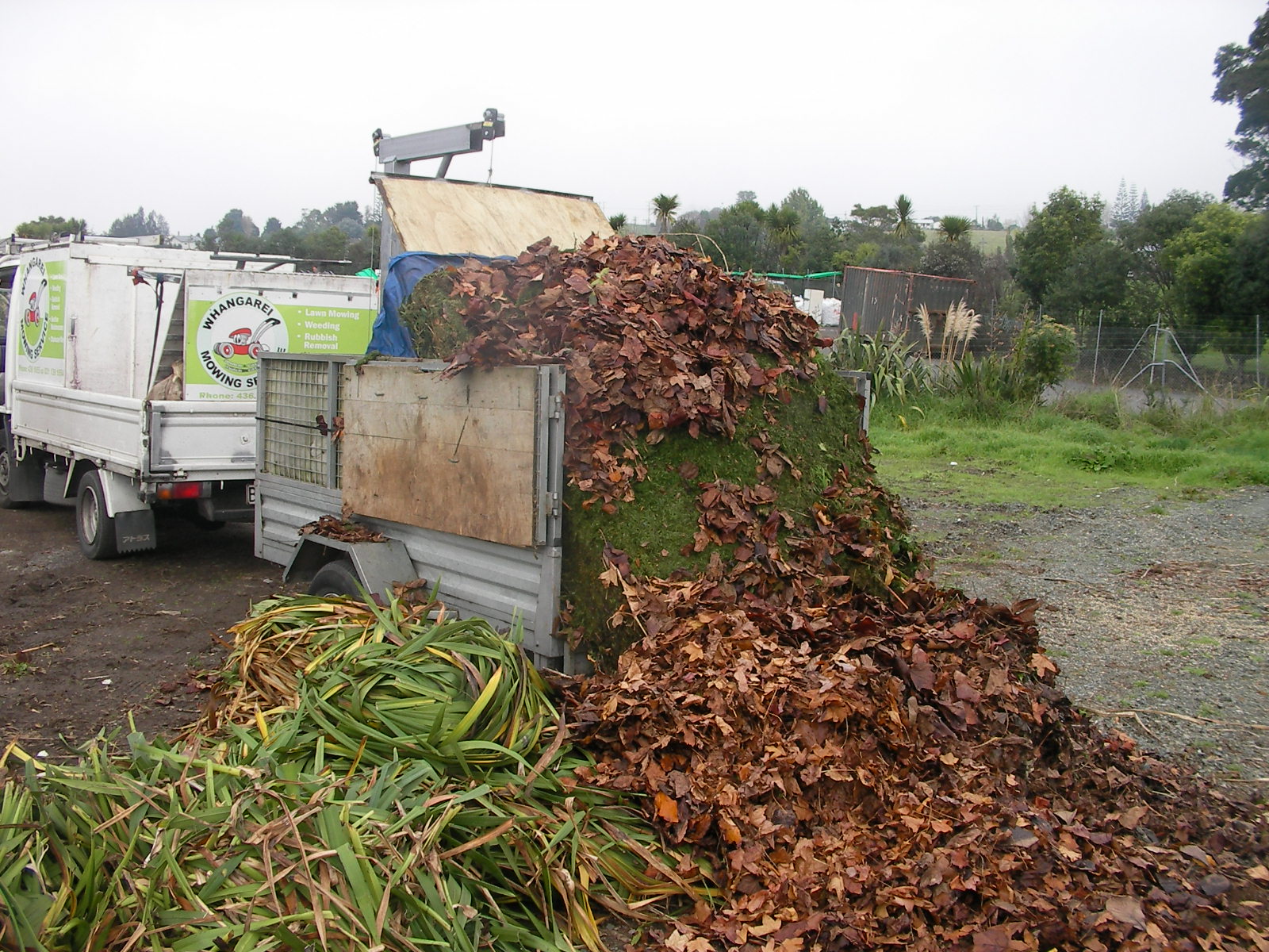 Rubbish Removal Whangarei PHOTOS