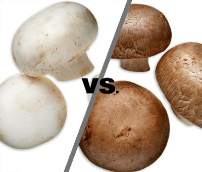 Phd thesis on button mushroom