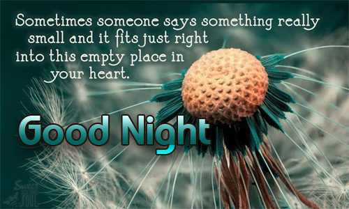 Lovely Good Night Text Messages With Quotes to Girlfriend - Romantic