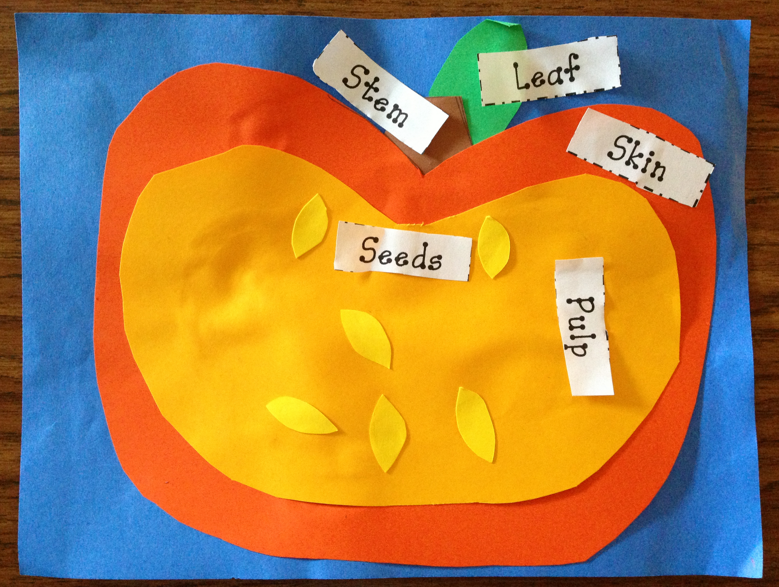 Parts Of A Pumpkin Diagram - Drivenheisenberg