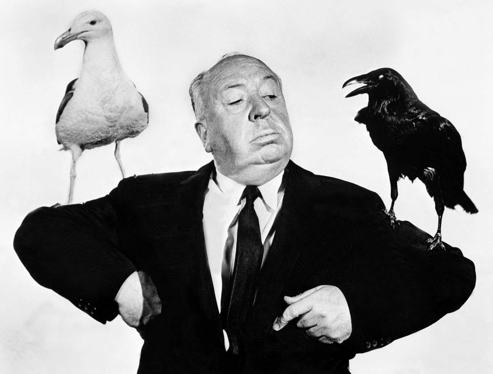 Los pájaros de Hitchcock detrás de las cámaras