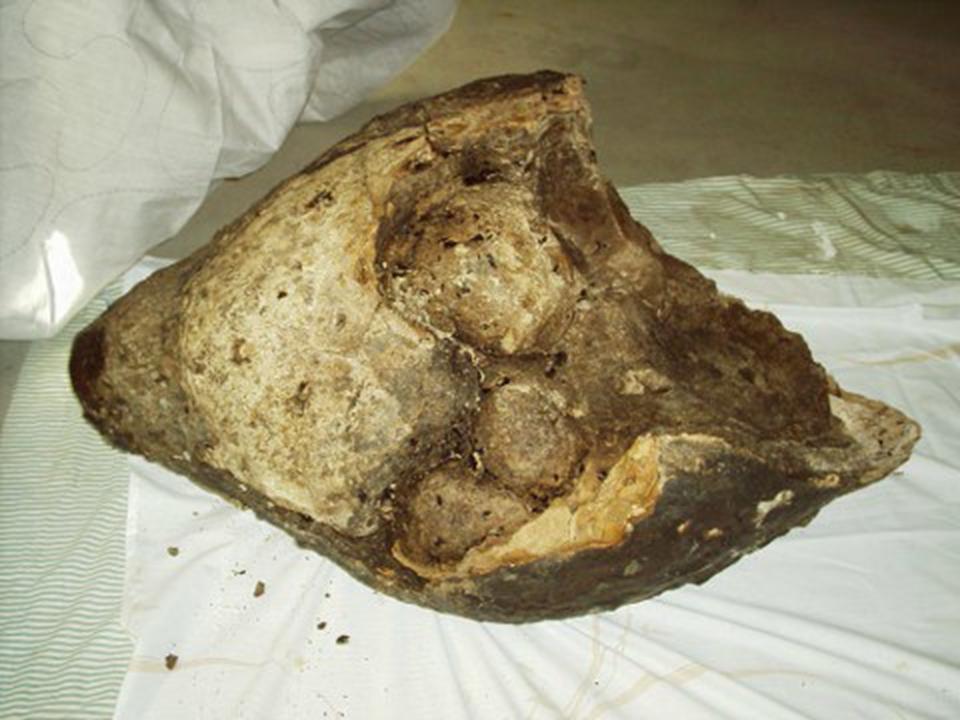 Indonesian Ambergris Mengenal Ambergris