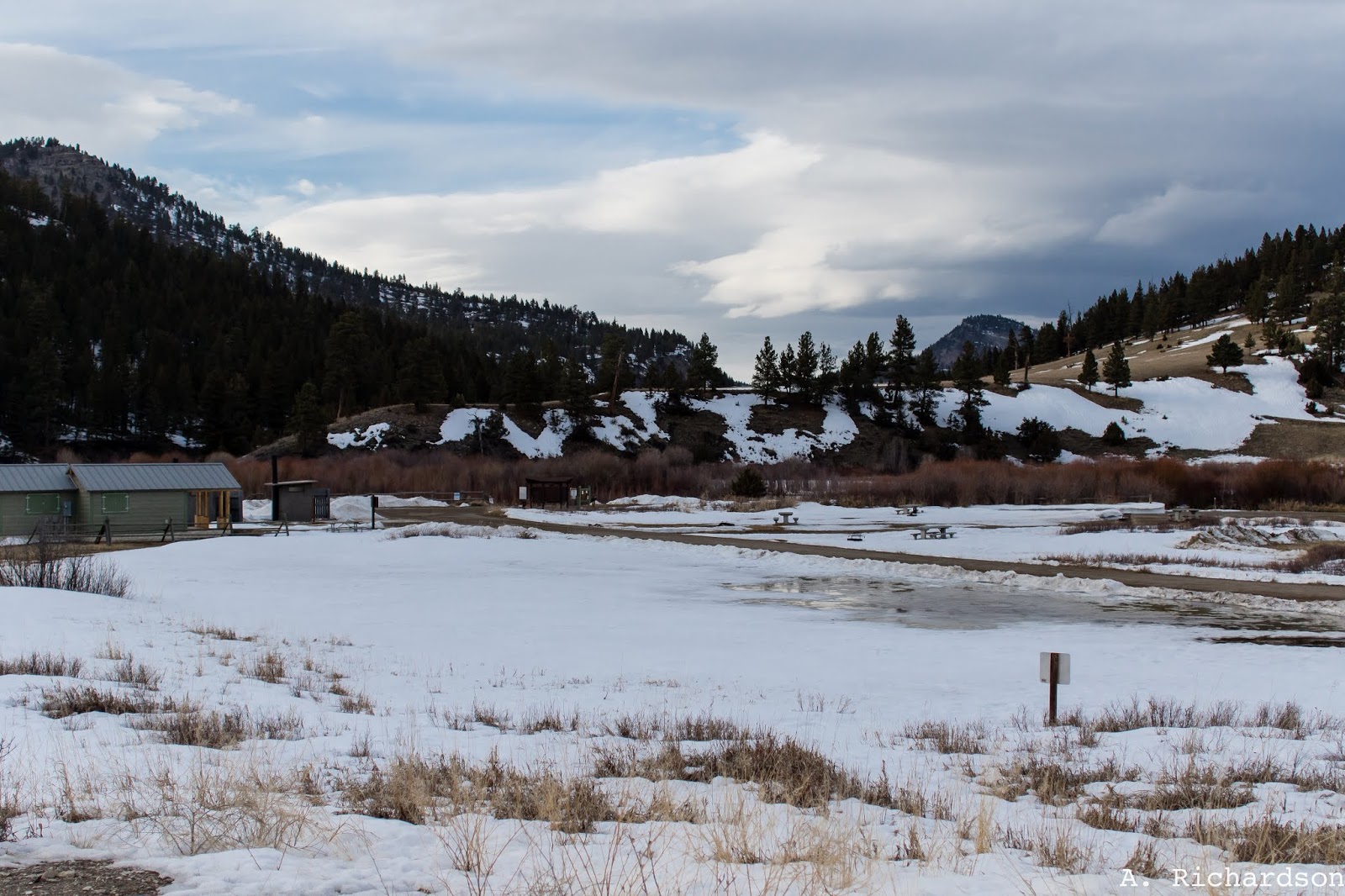 Camp Baker, Montana Eagle Watch Project Our Work