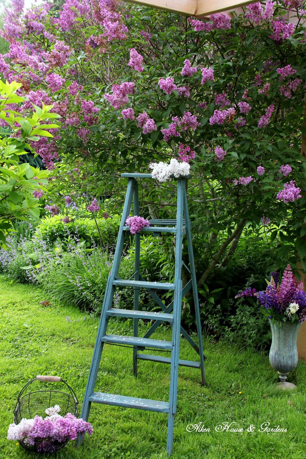 Aiken House & Gardens A Peek at our Garden