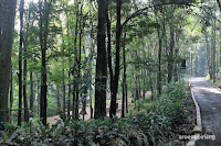 taman hutan raya ir h juanda
