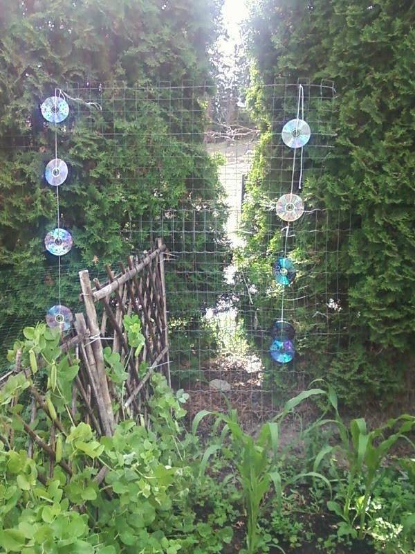 Funky Frugal Mommy Keep Birds Out Of Your Garden Diy Bird Deterrent