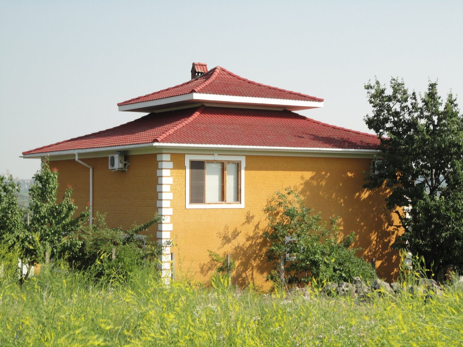 Wishful Thinking Houses in Moldova