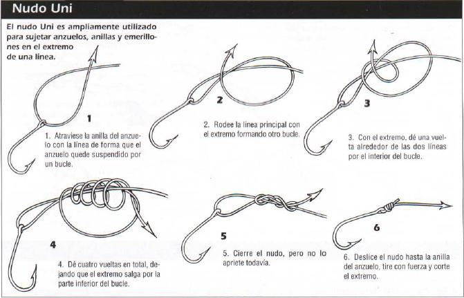 A Pescar en PR: Carnada para el dia de la pesca