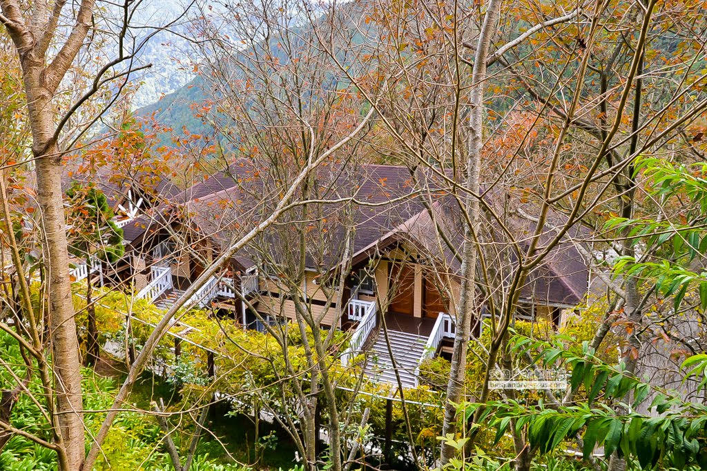 新竹五峰鄉景點,雪霸國家公園,雪霸休閒農場,雲霧步道,山椒魚生態中心,張學良故居