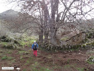 Veigas-Sobrevilla-Canal Botorru-Las Veigas Sobia-Braña Fuexos