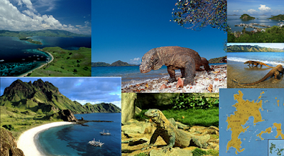 Komodo island dragon de Komodo, plongée en apnée, lune de miel, visite de l'île de Komodo, trekking île de Komodo, plage rose, Moyo island,