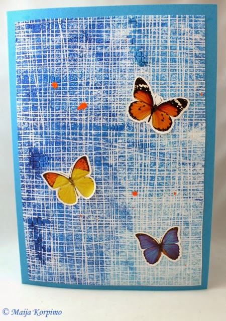 Perhoset lentävät keväisellä sinitaivaalla