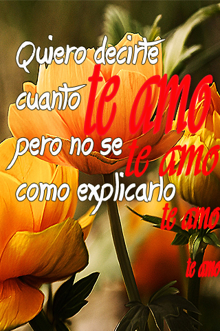 Quiero decirte cuanto te amo pero no se como explicarlo Quiero decirte cuanto te amo pero no se como explicarlo