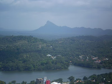 View from athugala