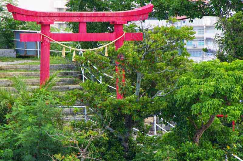 red torii,shrine,hill,Buddhism
