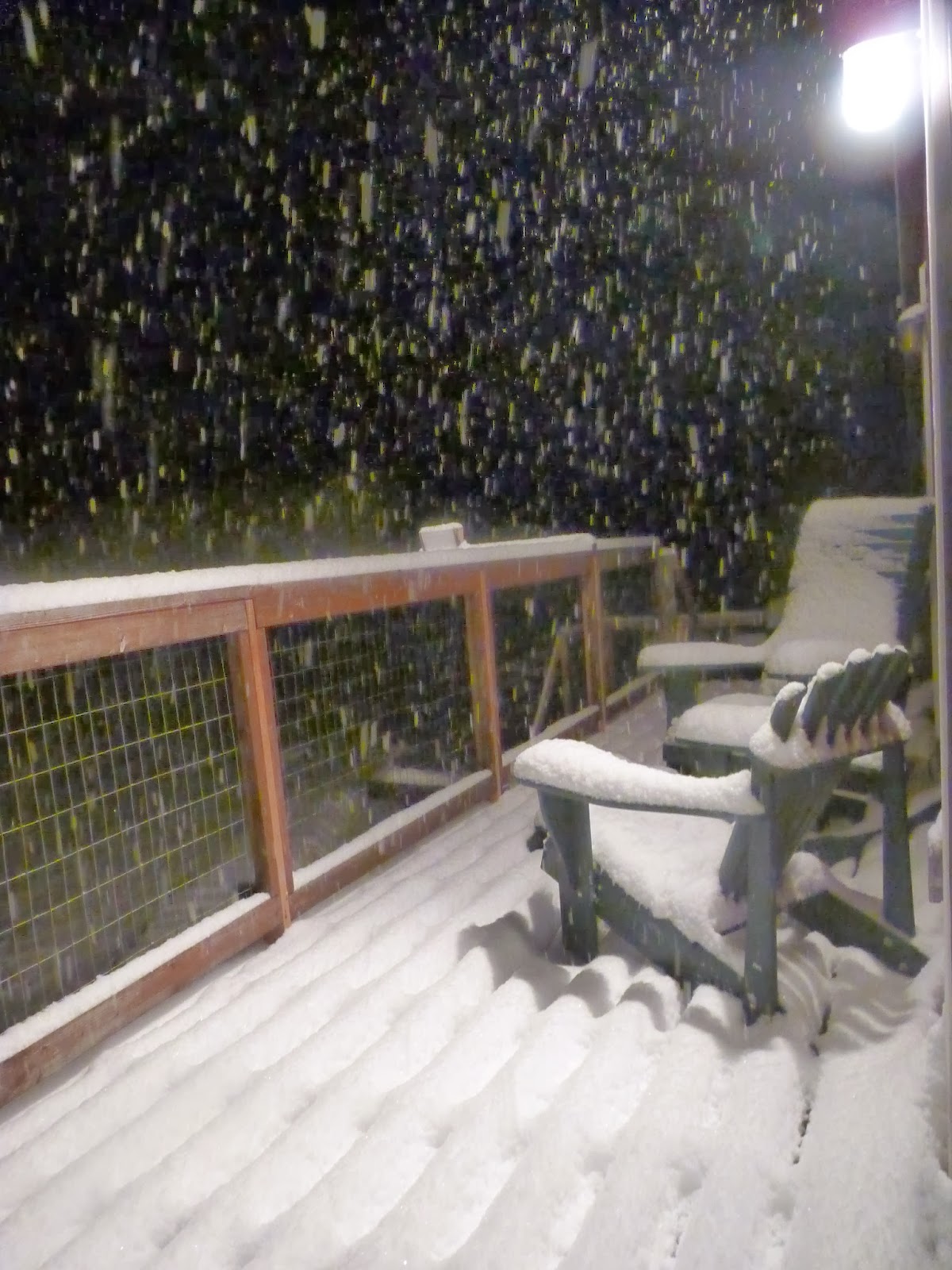 skechers snowy nights