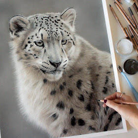 01-Snow-Leopard-Danielle-Fisher-Realistic-Animal-Portrait-Pastel-Drawings-www-designstack-co