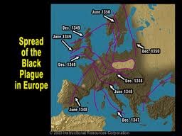 The Black Death: Where did the plague come from?