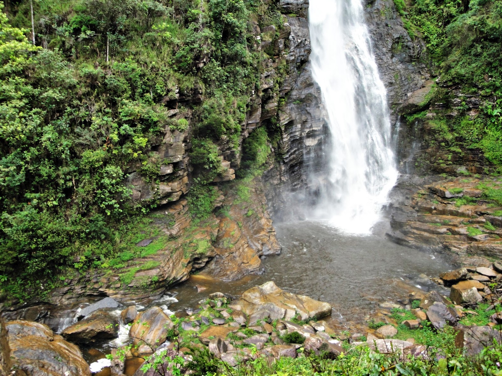 Primotur Turismo Receptivo: Cachoeira do Macuco!