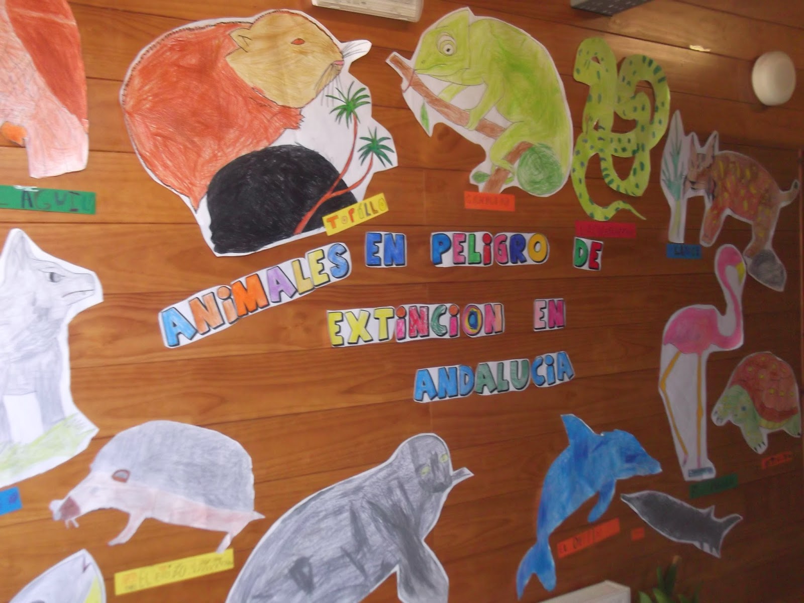 Proyecto Animales En Peligro De Extincion Primaria