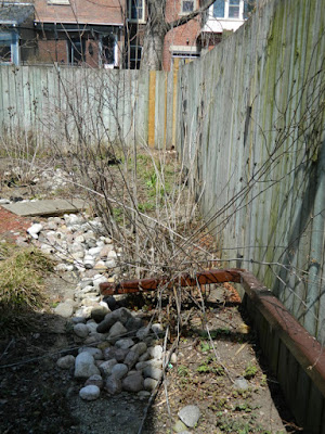 Riverdale Toronto spring garden cleanup before Paul Jung Gardening Services