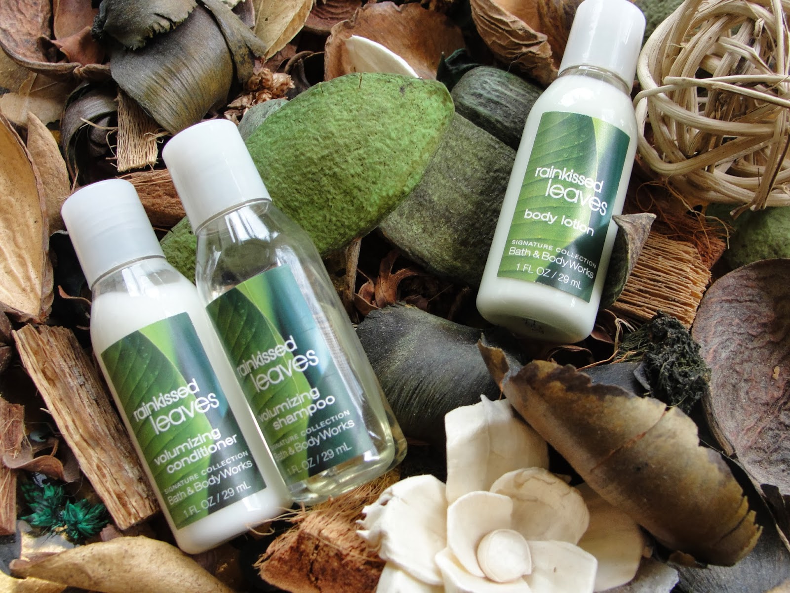 Bath & Body Works rainkissed leaves Review