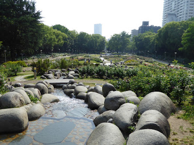 靭公園バラ園　川