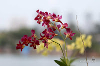 taman kota ria rio jakarta