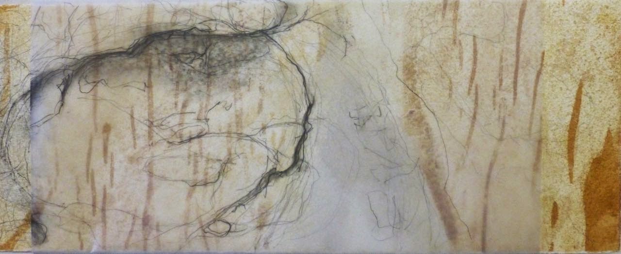 tracemarks soft look at boulders..