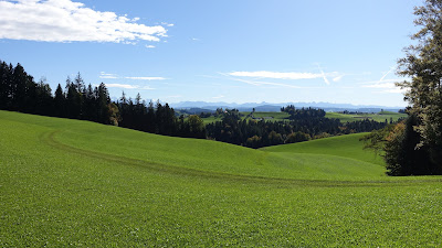 Blick beim Guggli zu den Alpen Blick beim Guggli zu den Alpen