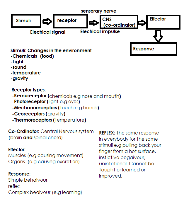 Plants/Reproduction and inheritance 2.84 understand that stimulation