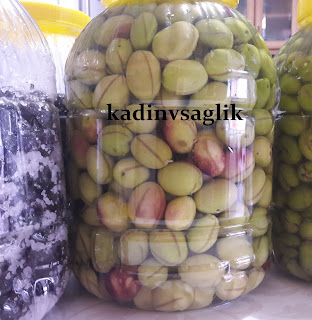 Evde Çizme Yeşil Zeytin Nasıl Yapılır? Evde Çizme Yeşil Zeytin Nasıl Yapılır?