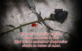 Imágenes de Versos de Desamor Imágenes de Versos de Desamor