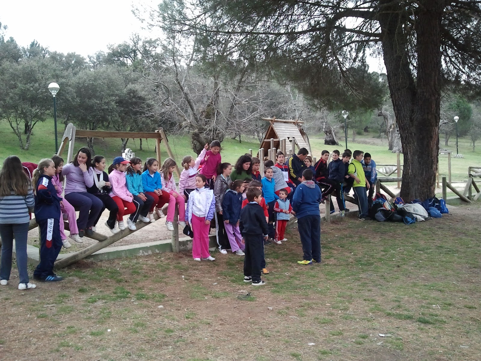 bibliotecalosalamos ACTIVIDADES EN EL MEDIO NATURAL DE LA ALISEDA bibliotecalosalamos ACTIVIDADES EN EL MEDIO NATURAL DE LA ALISEDA
