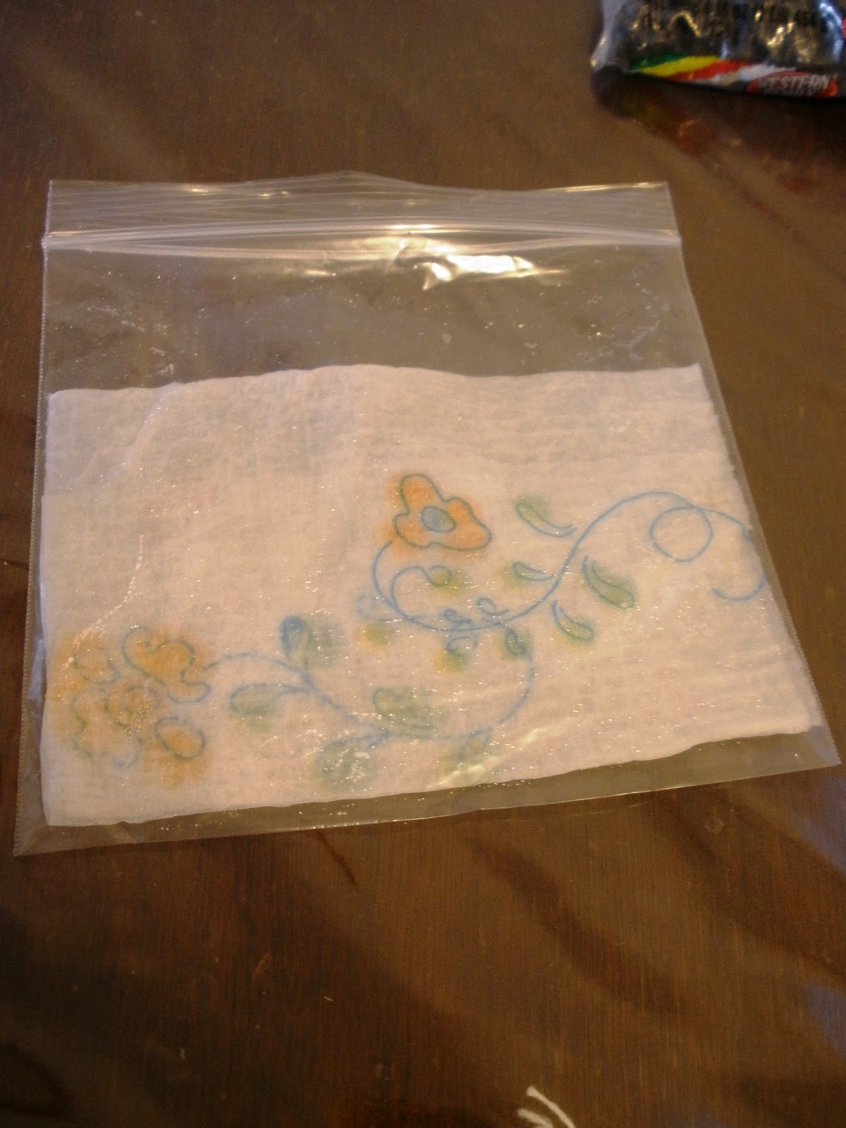 Baby Brainstorm Growing Seeds in a Bag