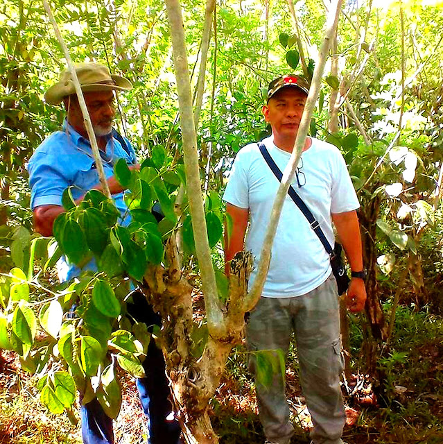 At the Wow Paminta Farm. At the Wow Paminta Farm.