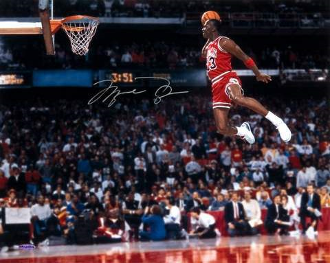 michael jordan fly