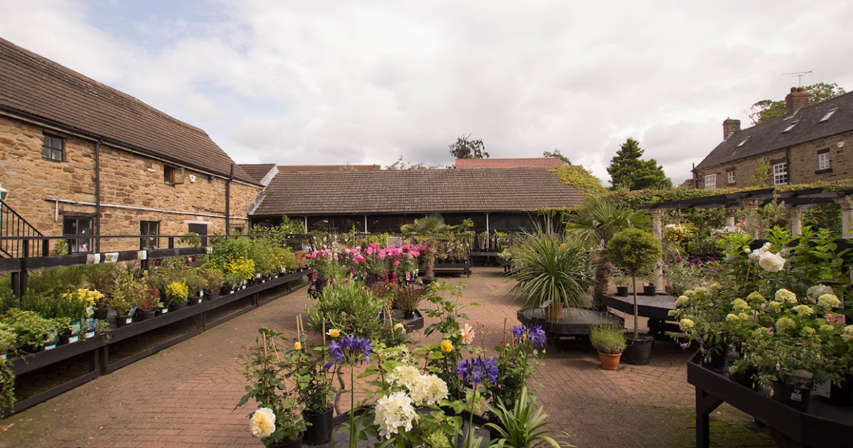 Rotherham Business News Garden Centre Announces Closure Rotherham Garden Centre Announces Closure, Fosters Garden Centre Thrybergh Rotherham