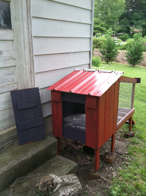 CARPEntryDIEM: Hutching a Plot: Clover's Rabbit Hutch Pt. II