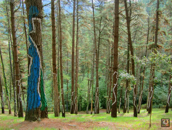 El Bosque Animado de Oma, Kortezubi, Bizkaia