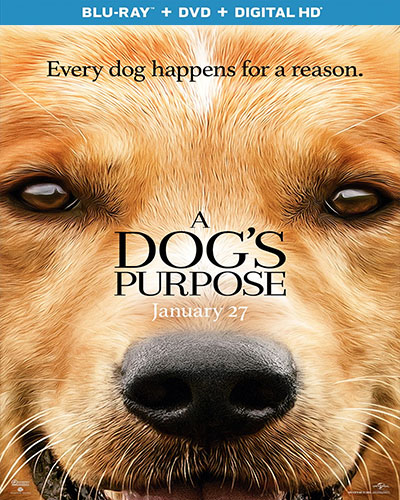 A Dog's Purpose (2017) 1080p BDRip Dual Audio Latino-Inglés [Subt. Esp] (Drama. Comedia)