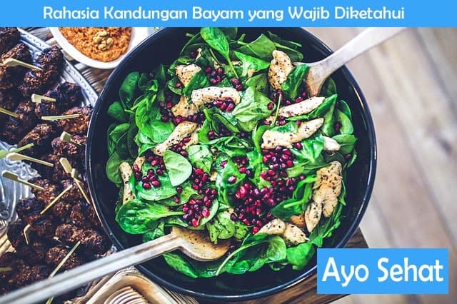 Rahasia Kandungan Bayam yang Wajib Diketahui Kandungan Bayam
