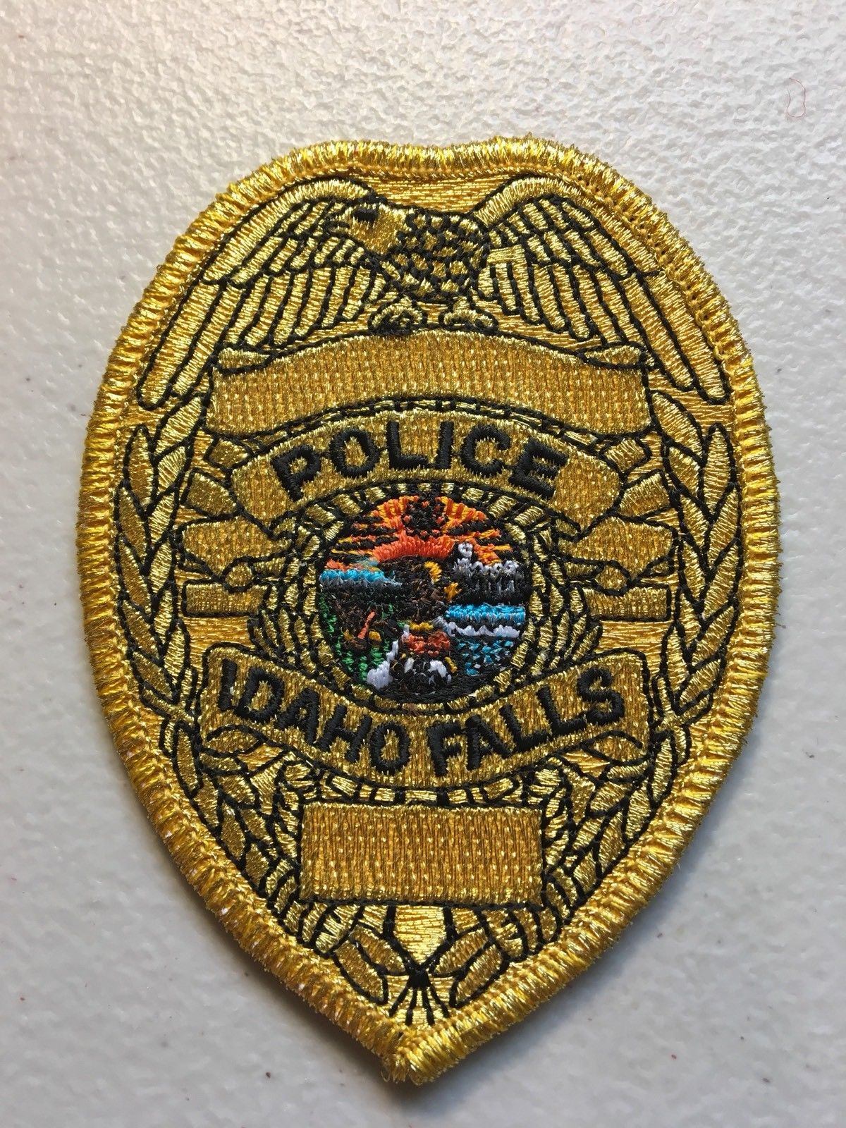 The Crisis Negotiator Blog: Hero police officer spends 4 hours talking