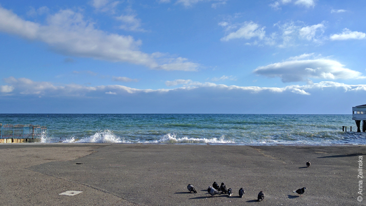 Черное море Черное море, Алушта