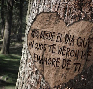 imagenes con frases para dedicarle a tus hijos imagenes con frases para dedicarle a tus hijos
